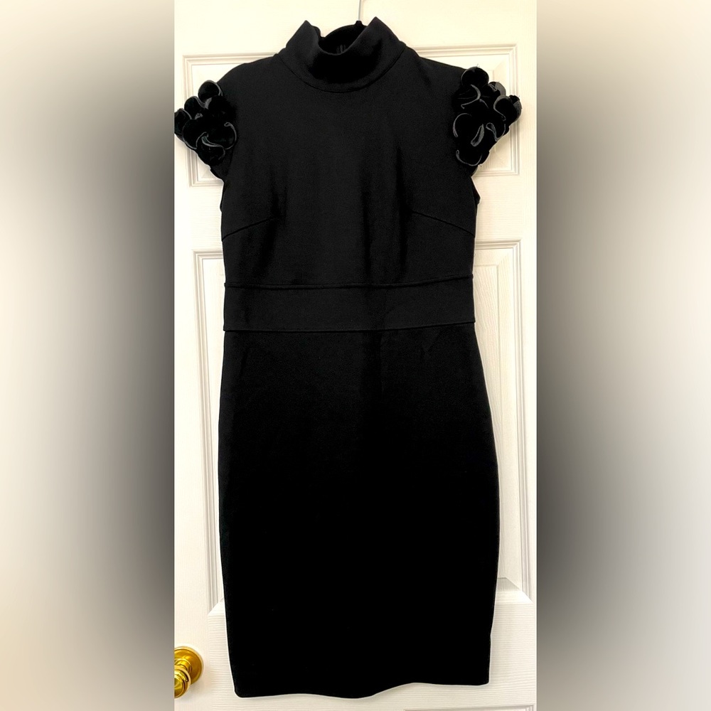 Adrienne Vittadini Dress